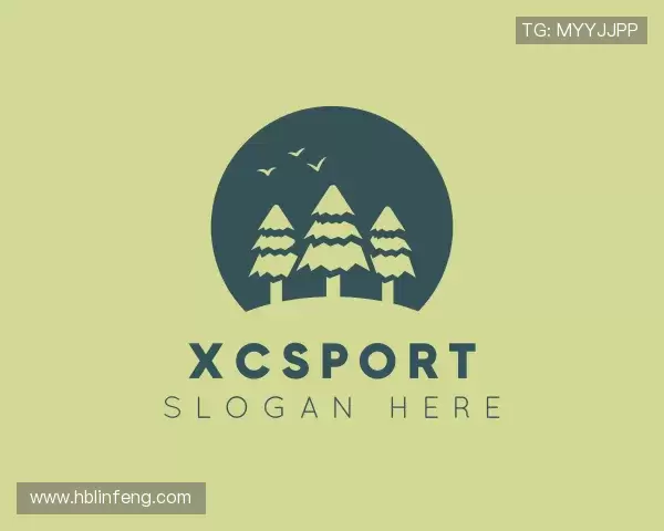 认识XCSport